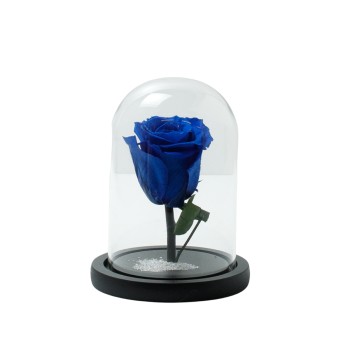 Beauty And The Beast  Blue Rose Small Campana